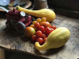 Good Place Farms B&B