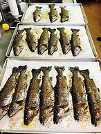 Good Place Farms B&B