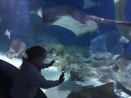 StayCentral - Spacious Seaviews