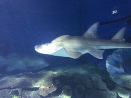 StayCentral - Cityside on Whiteman