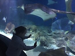 StayCentral - Cityside on Whiteman