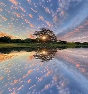 Cameracaffè sul Lago