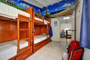 The Wandering Paisa Hostel Adults Only