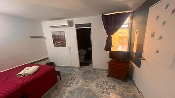 The Wandering Paisa Hostel Adults Only