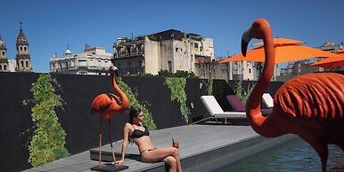 Anselmo Buenos Aires Curio Collection By Hilton