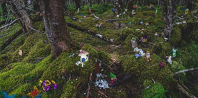 The Wilds at Salmonier River