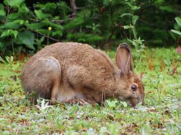 The Wilds at Salmonier River