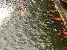 Sapa Garden Bed and Breakfast