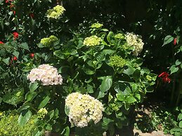 Sapa Garden Bed and Breakfast