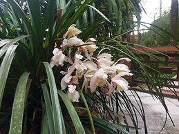 Sapa Garden Bed and Breakfast