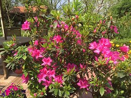 Sapa Garden Bed and Breakfast