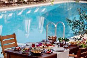 Luna Begonvil Tas Evler