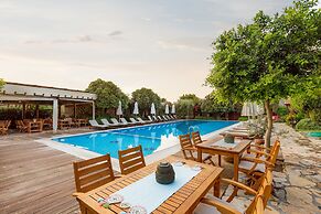 Luna Begonvil Tas Evler