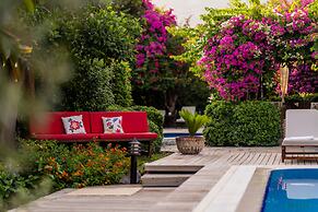 Luna Begonvil Tas Evler