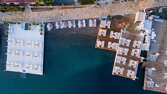 Luna Begonvil Tas Evler