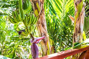 Bamboo Bonaire by Boutique Bonaire Unique Resorts