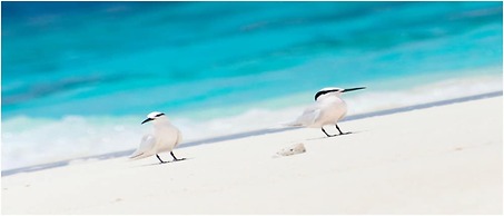 Angaga Island Resort & Spa