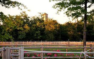 Agriturismo Il Boschetto