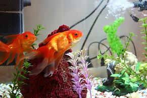 Mavi Deniz Konuk Evi