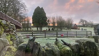 Llwyn Onn Guest House