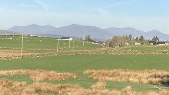 Llwyn Onn Guest House