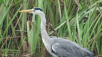 Llwyn Onn Guest House