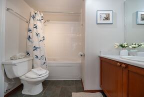 Glaciers Reach by AllSeason VR