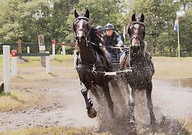 Buitenplaats Erve Hulsbeek