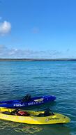 Galapagos Dreams