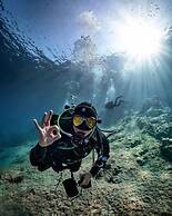Galapagos Dreams