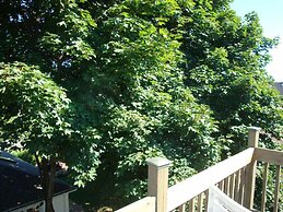 Downtown Bed And Breakfast