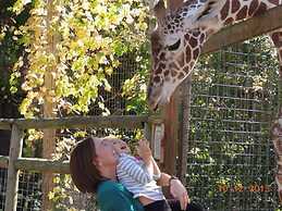 Candlewood Suites Grove City - Outlet Center by IHG