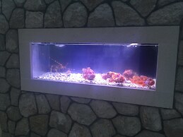 Boutique Pine Tree apartments