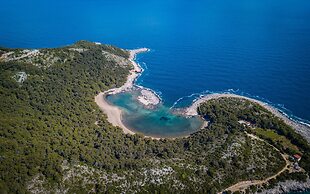 Boutique Pine Tree apartments