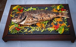 Boutique Pine Tree apartments