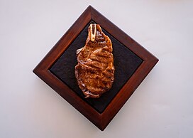 Boutique Pine Tree apartments