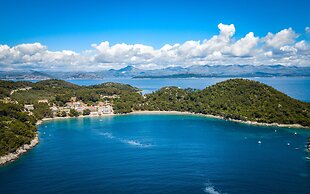 Boutique Pine Tree apartments