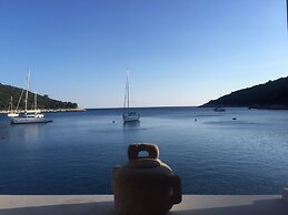 Boutique Pine Tree apartments