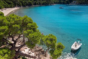 Boutique Pine Tree apartments