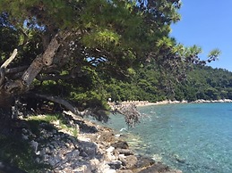 Boutique Pine Tree apartments