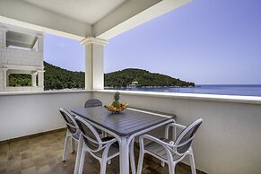 Boutique Pine Tree apartments