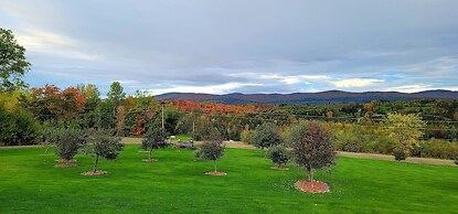 Bear Rock Suites