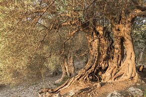 Hotel Monnàber Vell