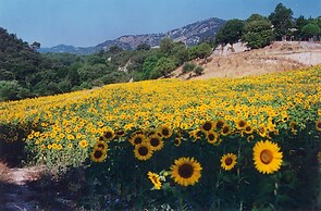 Hotel Monnàber Vell