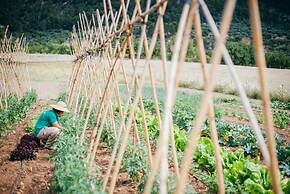 Hotel Monnàber Vell