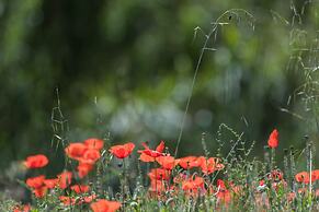Hotel Monnàber Vell