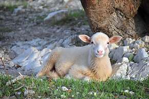 Hotel Monnàber Vell