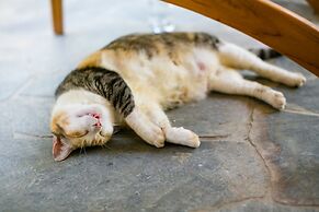 Blue Osa Beach Resort and Spa