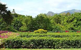 Governor's Gangula