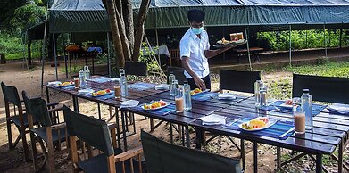 Big Game Yala by Eco Team